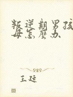 叛逆期男孩骂父母怎么办