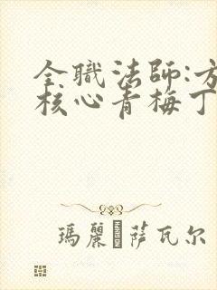 全职法师:方舟核心青梅丁雨眠