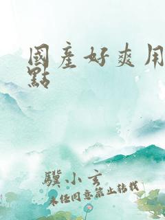 国产好爽用力快点