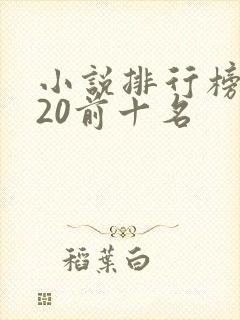 小说排行榜2020前十名