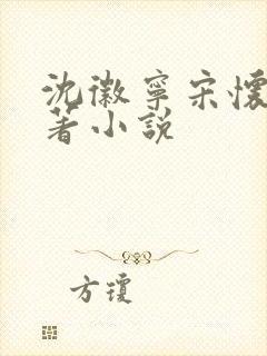 沈徽宁宋怀砚原著小说