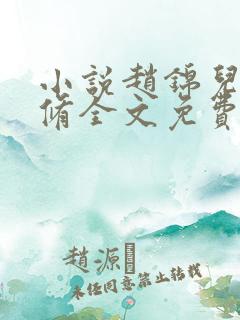小说赵锦儿秦慕修全文免费阅读免费