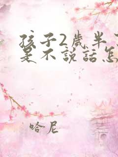 孩子2岁半了还是不说话怎么办
