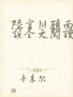 陆言川顾南栀小说全文阅读