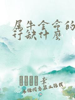 属牛金命的人五行缺什么