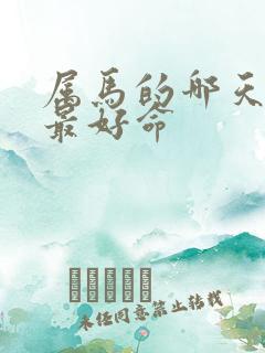 属马的哪天出生最好命