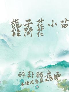 栀子花小苗几年能开花