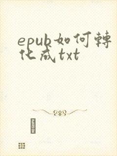 epub如何转化成txt