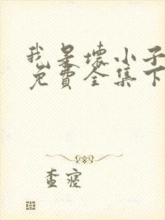 我是坏小子漫画免费全集下拉式漫画