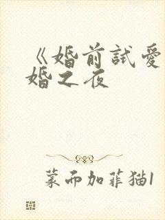 《婚前试爱》新婚之夜