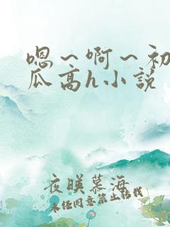 嗯～啊～初次破瓜高h小说