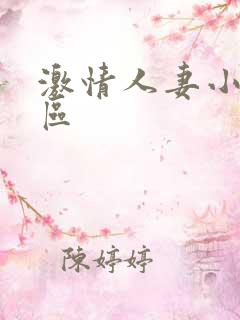 激情人妻小说二区