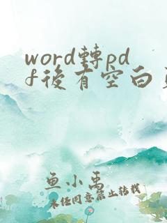 word转pdf后有空白页