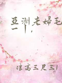 亚洲老妇毛茸茸一丨,