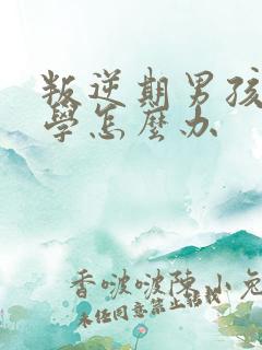 叛逆期男孩子厌学怎么办