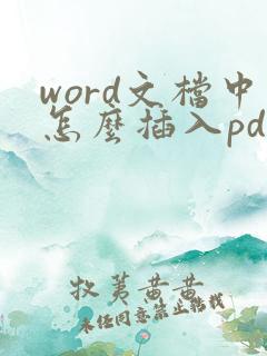word文档中怎么插入pdf文件