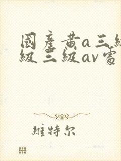国产黄a三级三级三级av处女