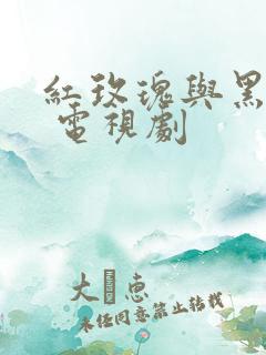 红玫瑰与黑玫瑰 电视剧