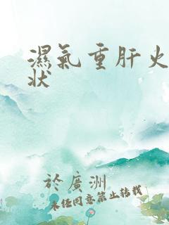 湿气重肝火旺症状