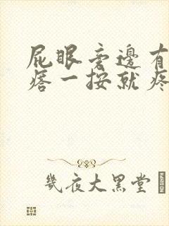 屁眼旁边有个疙瘩一按就疼