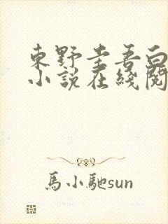 东野圭吾白夜行小说在线阅读