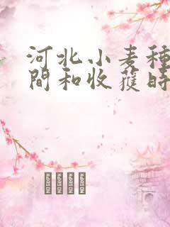 河北小麦种植时间和收获时间