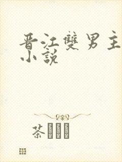 晋江双男主原耽小说
