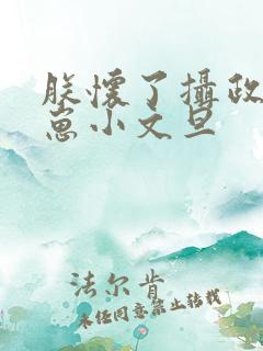 朕怀了摄政王的崽小文旦
