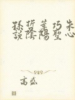 孙哲叶巧朱颜小说阴阳圣心诀