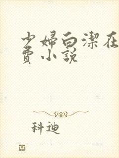 少妇白洁在线免费小说