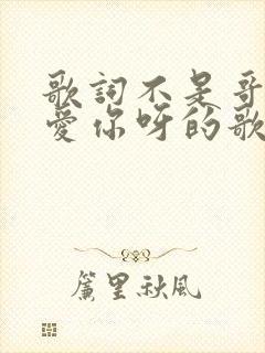 歌词不是哥哥不爱你呀的歌名
