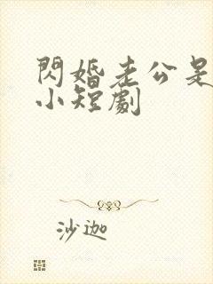 闪婚老公是豪门小短剧
