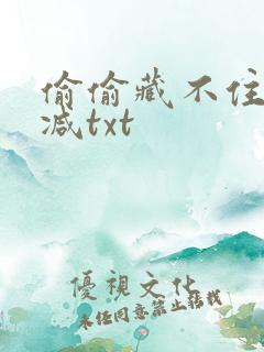 偷偷藏不住未删减txt