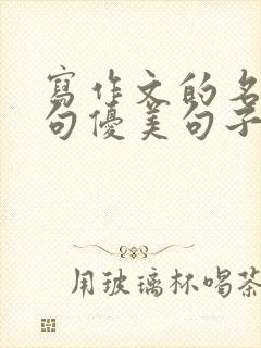 写作文的名言名句优美句子摘抄