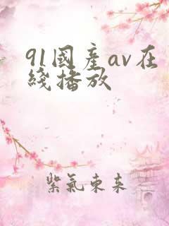 91国产av在线播放