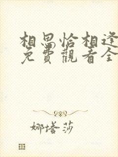 相思恰相逢短剧免费观看全集高清