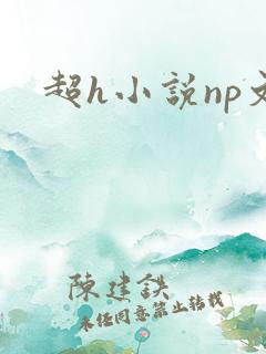 超h小说np文