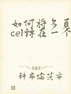 如何将多页excel转在一个pdf文件