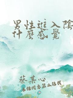 男性进入阴道是什么感觉