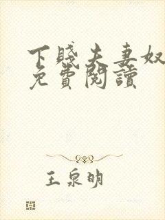下贱夫妻奴小说免费阅读