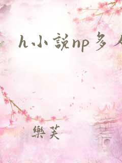h小说np多人