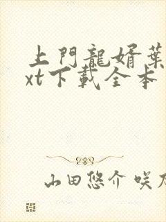 上门龙婿叶辰txt下载全本