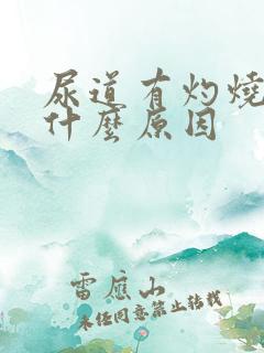 尿道有灼烧感是什么原因