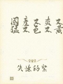 国产又爽又粗又猛又色又黄高清