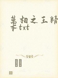 万相之王精校全本txt