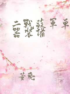 二战苏军单兵武器装备