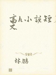 高h小说短篇辣文