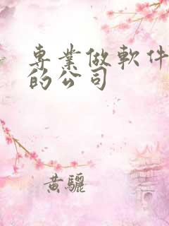 专业做软件开发的公司