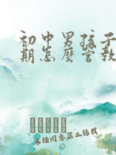 初中男孩子叛逆期怎么管教最合适