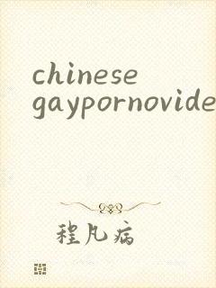 chinesegaypornovideos